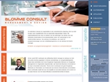 BLOMME CONSULT