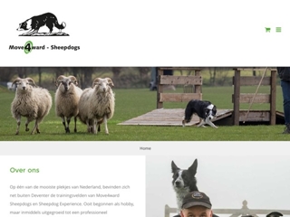 MOVE4WARD SHEEPDOGS