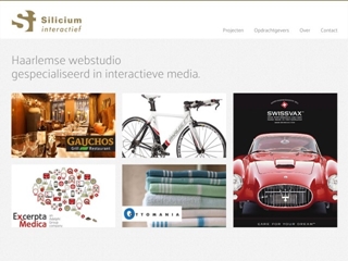 SILICIUM INTERACTIEF
