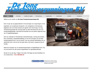 DE JONG TRANSPORTVERGUNNINGEN BV