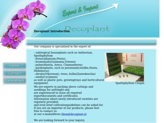 DECOPLANT