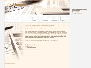 BRUIN ASSURANTIE ADVIES M
