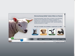 TUSKEN DIKEN EN FEANEN DIERENARTSENPRAKTIJK