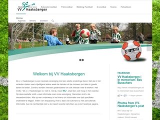 VOETBALVERENIGING HAAKSBERGEN