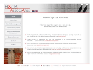 H & DB ASSOCIATES BV