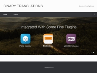 BINARY TRANSLATIONS