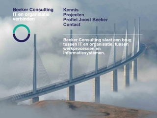 BEEKER CONSULTING