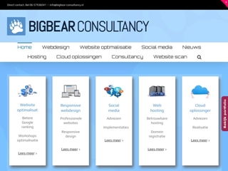 BIGBEAR CONSULTANCY