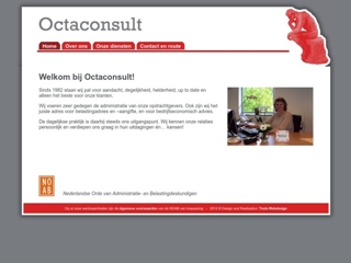 OCTACONSULT BV