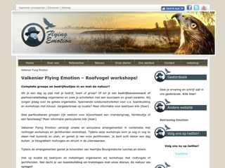 FLYING EMOTION