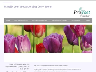 BOEREN CORRY