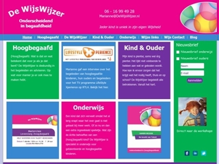 DE WIJSWIJZER