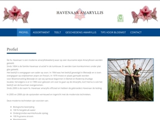 HAVENAAR AMARYLLIS
