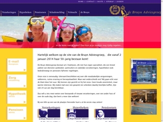 BRUYN FINANCIEEL ADVISEURS DE