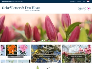 VLETTER EN DEN HAAN FIRMA GEBROEDERS