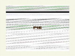 PIE-PROJECTONTWIKKELING BV