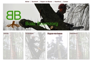 BOAZ BOOMZORG