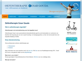 CESAR OEFENTHERAPIE L VISMANS EN A DEN OUDEN