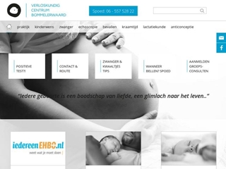 OOST-BOMMELERWAARD VERLOSKUNDIGEN PRAKTIJK