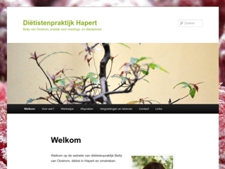 DIETISTENPRAKTIJK E B VAN OOSTROM-VAN DER WERF