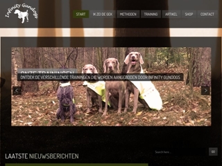 INFINITY GUNDOGS