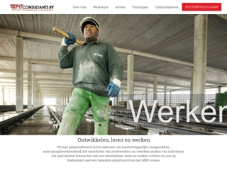 PIT CONSULTANTS BV
