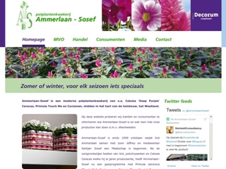AMMERLAAN-SOSEF POTPLANTENKWEKERIJ