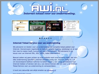 AMERICAN WORLDWIDE INSPECTIONS