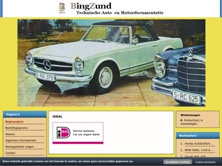 BINGZUND