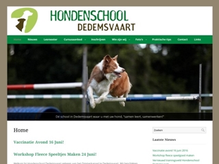 HONDENSCHOOL DEDEMSVAART