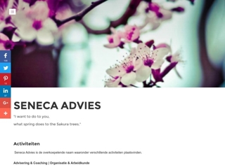 AMY VAN SON SENECA ADVIES LOOPBAANBEGELEIDING EN COACHING