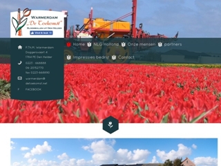 WARMERDAM DE TOEKOMST BLOEMBOLLEN P TH M