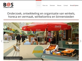 BAS RETAIL CONSULTANTS
