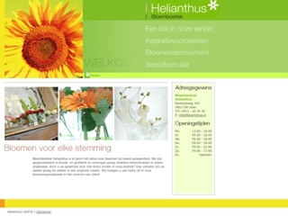 BLOEMBOETIEK HELIANTHUS