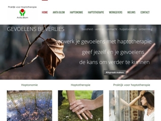 PRAKTIJK VOOR HAPTOTHERAPIE ANITA BLOM