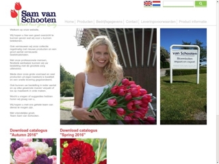 FLOWERBULB.COM BV