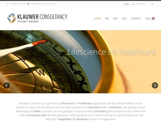KLAUWER CONSULTANCY