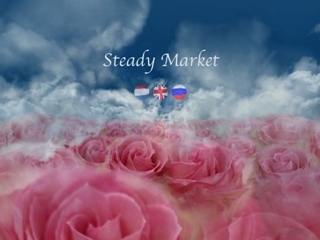 STEADY MARKET