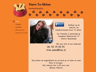 DARE TO SHINE HONDENTRIMSALON