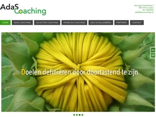 ADAS COACHING