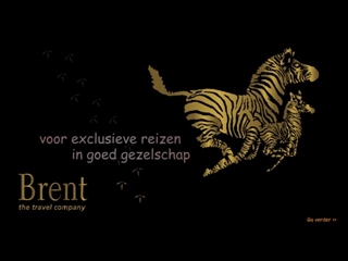 BRENT TRAVEL COMPANY THE