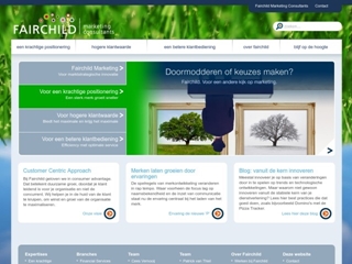 FAIRCHILD MARKETING CONSULTANTS