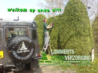 LOMMERTS GROENVERZORGING