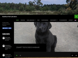 LABRADOR KENNEL