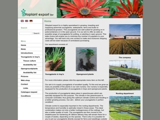 DITOPLANT EXPORT BV