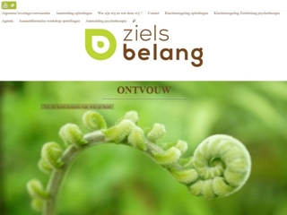 ZIELSBELANG