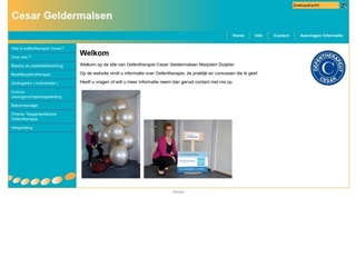 CESAR GELDERMALSEN OEFENTHERAPIE