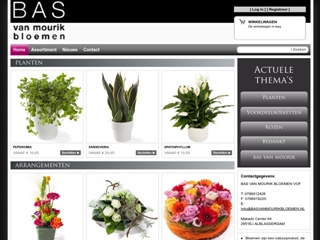 BLOEMEN MOURIK BAS VAN