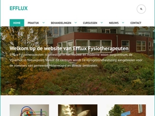 EFFLUX FYSIOTHERAPIE