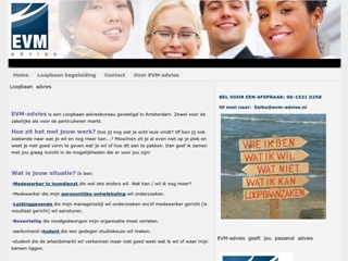 EVM-ADVIES